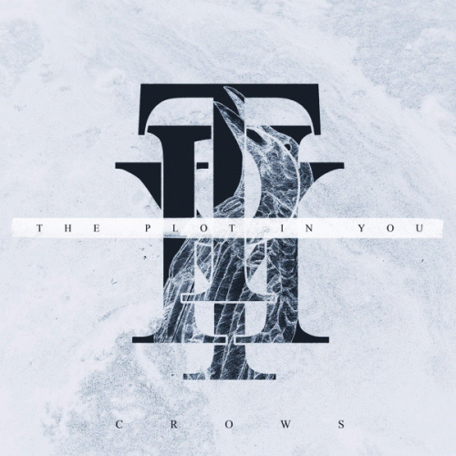 The Plot In You : Crows